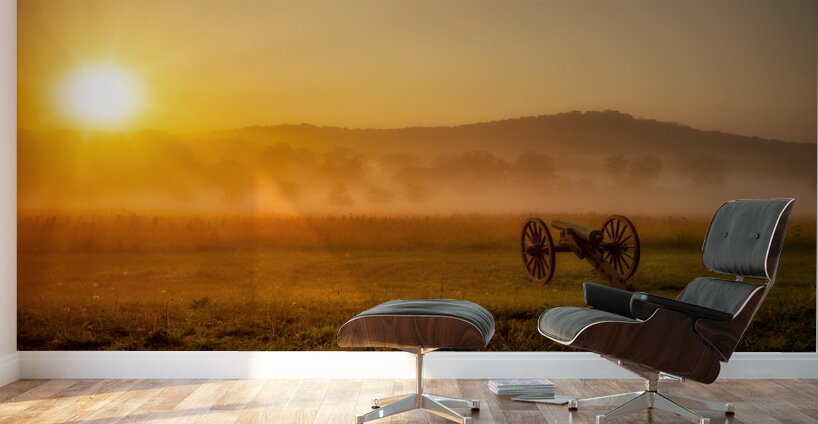 War and Peace at Dawn Wall Murals