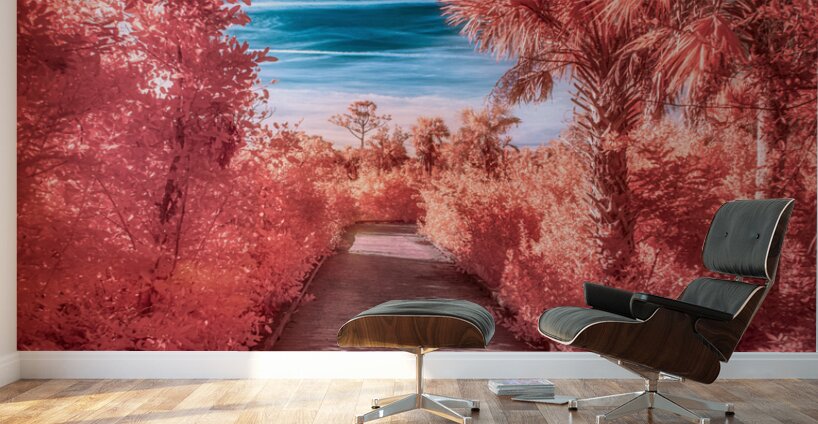 Infrared Stroll Through Tippiecanoes Pink Canopy Wall Murals