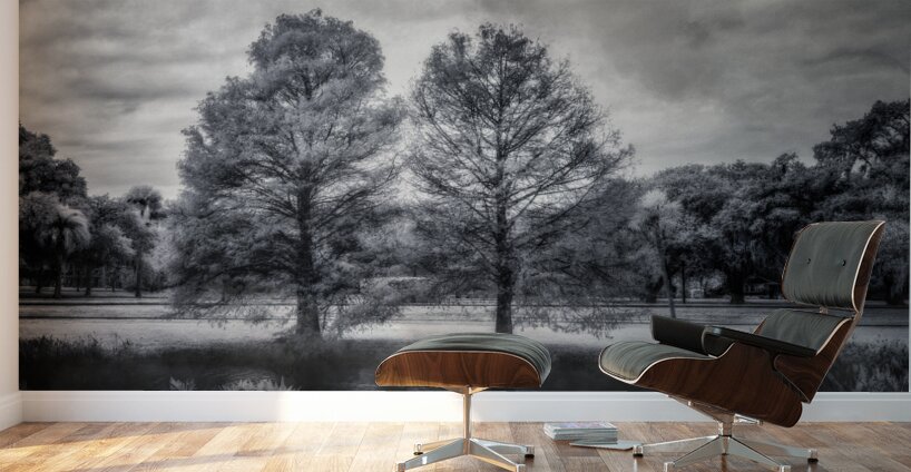 Mystical Twins: Unveiling the Beauty of Venetian Gardens in Leesburg Wall Murals