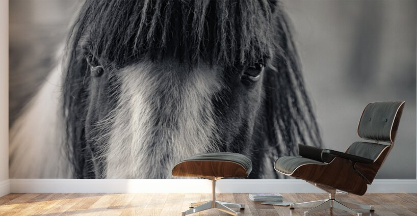 Curious Gaze: A Captivating Encounter with a Silent Horse  Wall Murals