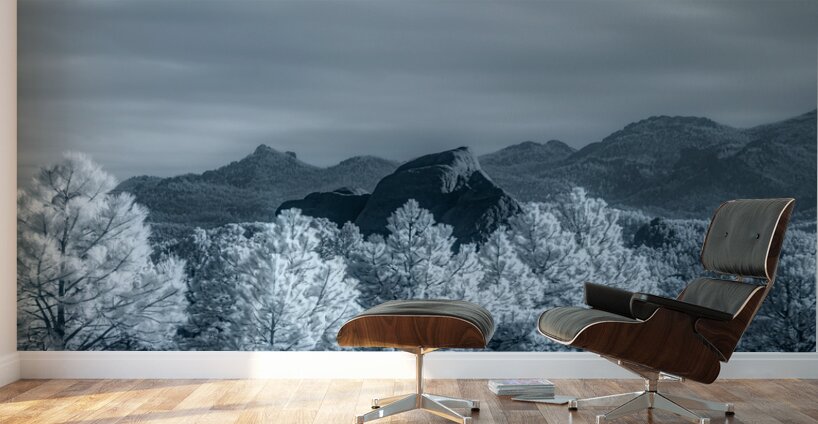 Vista Views: A Distant Gaze from Mount Rushmore Wall Murals