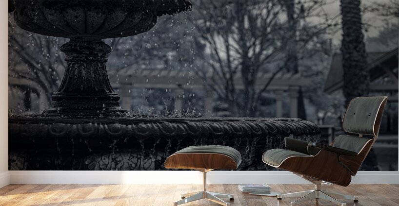 Rainy Day Wonders: Fountain Frozen in time in Saint Marys Georg Wall Murals