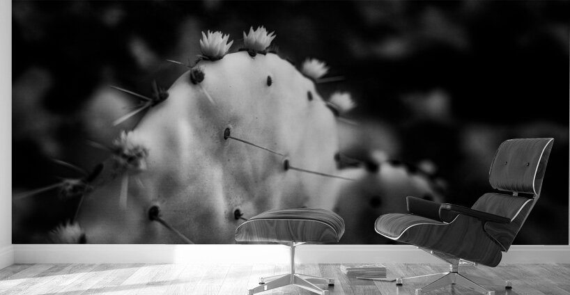 Ink and Thorn: Capturing the Essence of Texas Cacti Wall Murals