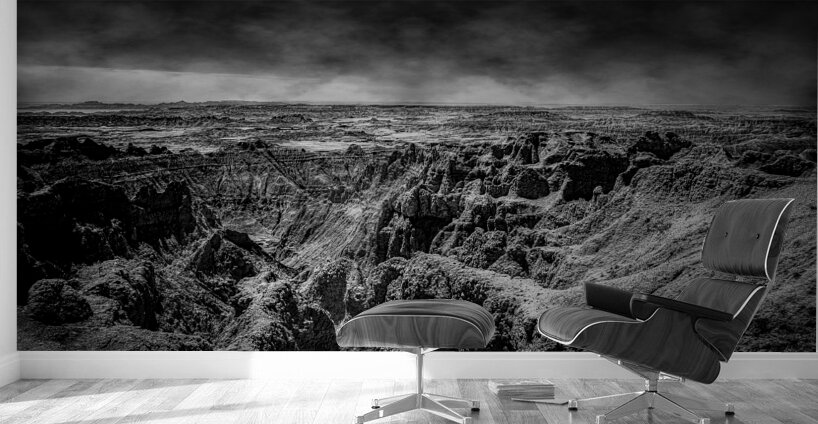 Shadows of the Earth: A Canyon Dream in the Badlands Wall Murals