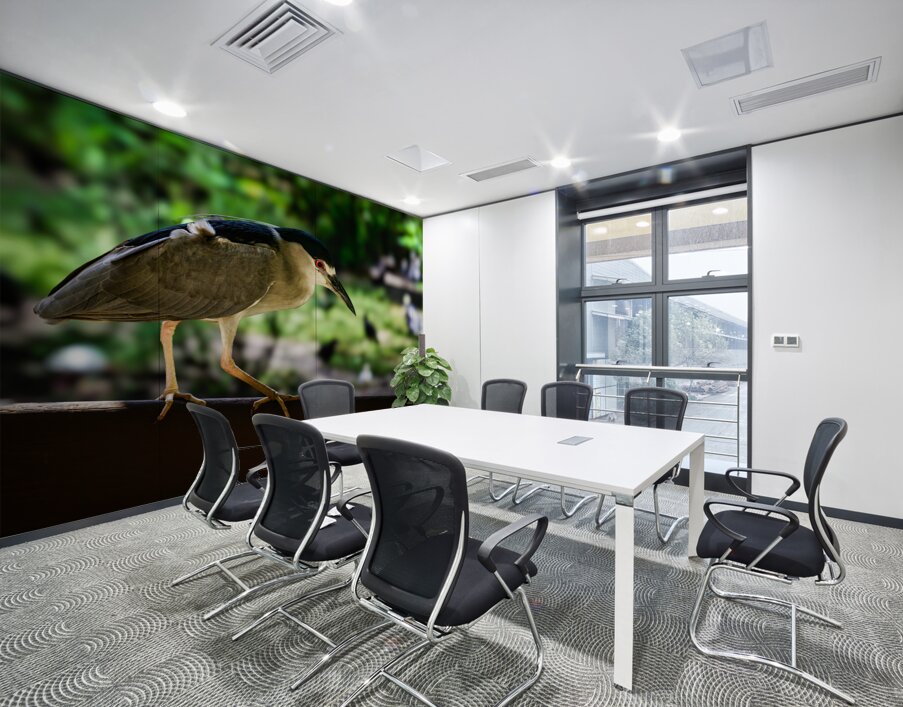 Flight of Discovery: Birdwatching Adventures in Homosassa Wall Printing