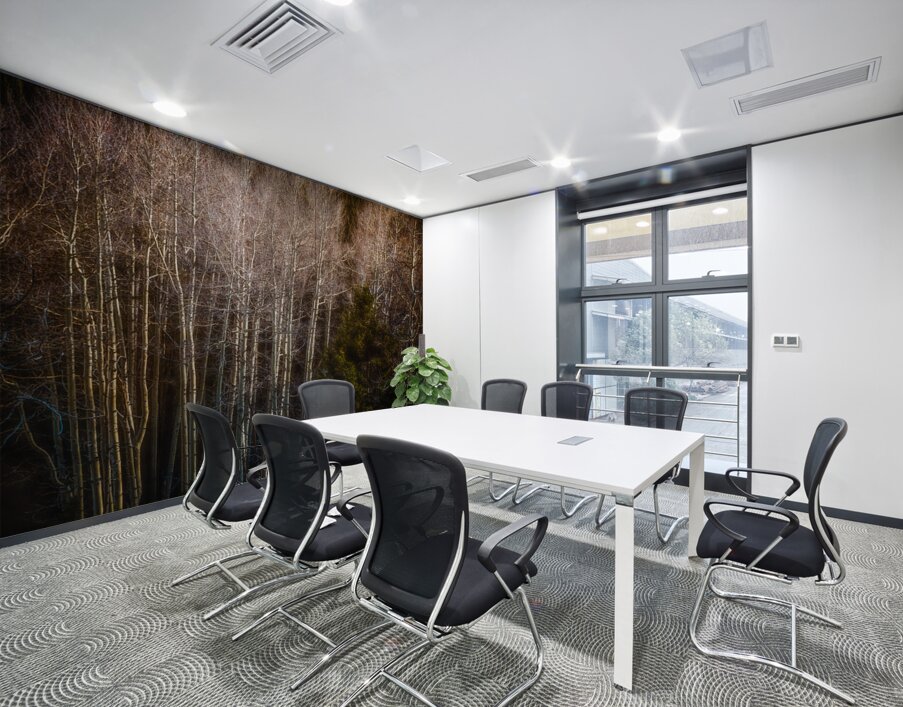 Mueller Aspen Series: Whispers of Fall Wall Printing