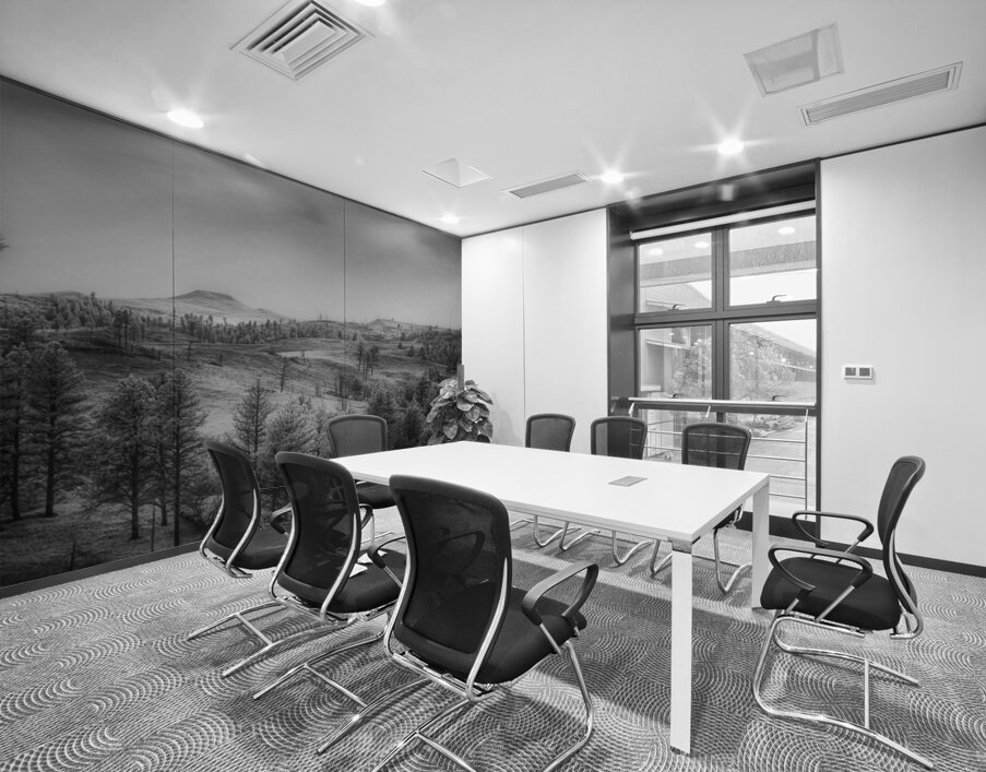 Shadows of The Pines: Exploring the Wilderness of Custer State P Wall Printing