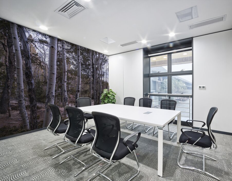 Mueller Aspen Series: Aspen Tree Trail Wall Printing