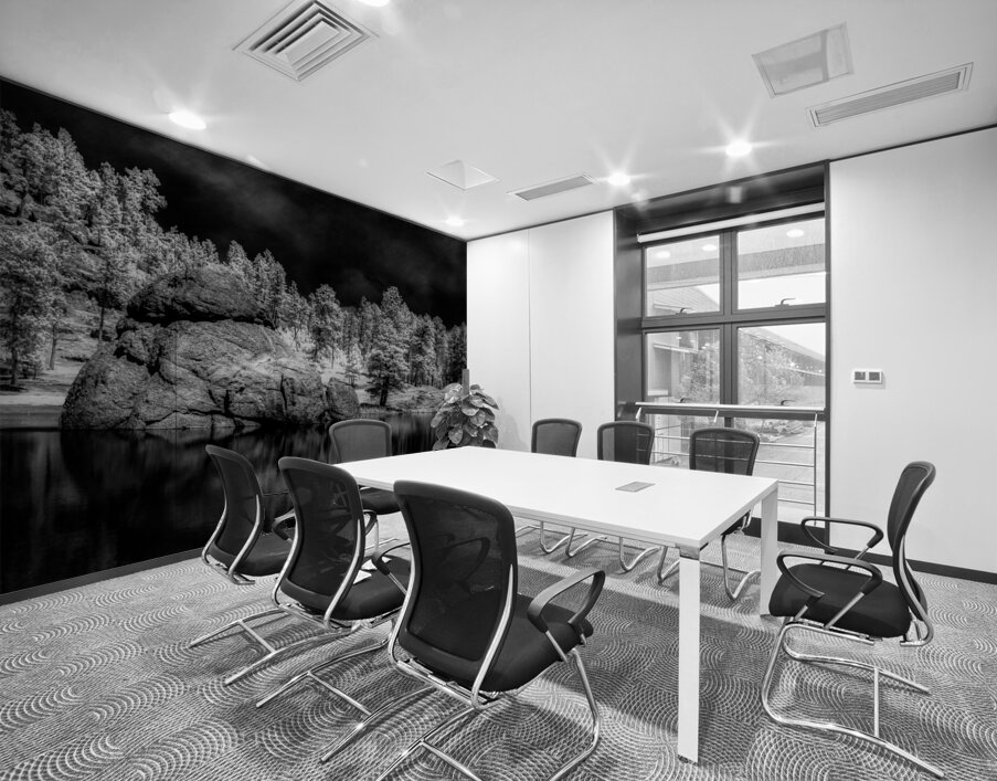 Enigmatic Elegance: Sylvan Lakes Monochrome Marvel Wall Printing