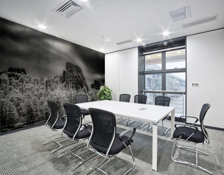 Sylvan Shadows: A Moody Encounter with Natures Drama in Custer  Wall Printing