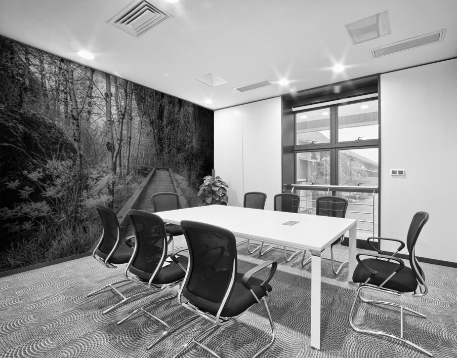 Mystical Journey: Sylvan Lake Wooden Trail in Infrared Wall Printing