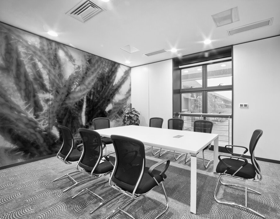 Prickly Dance on a Blurred Canvas Wall Printing