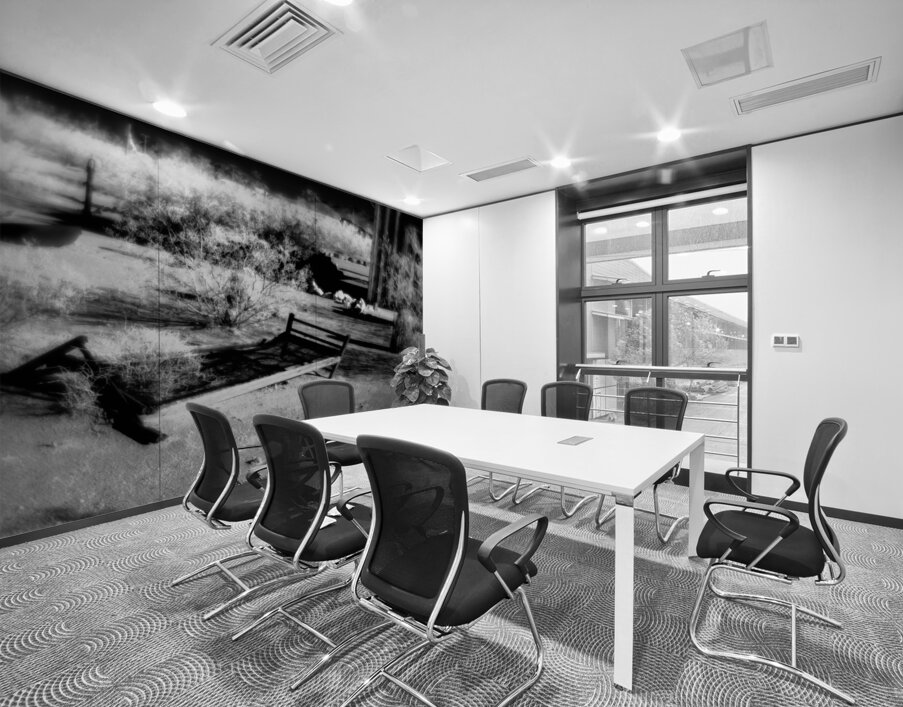 Forgotten Frame in a Sea of Thorn Wall Printing