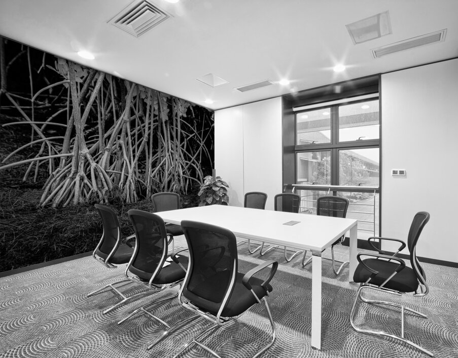 Enchanting Mangrove Tapestry: A Dance of Light and Shadows Wall Printing