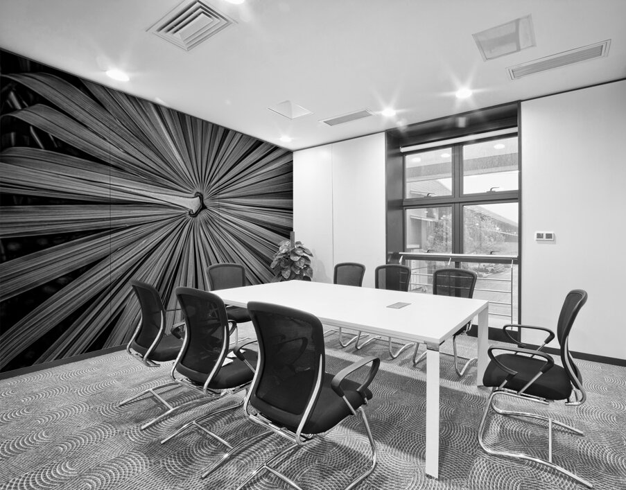 Palm Symmetry Elegance Wall Printing