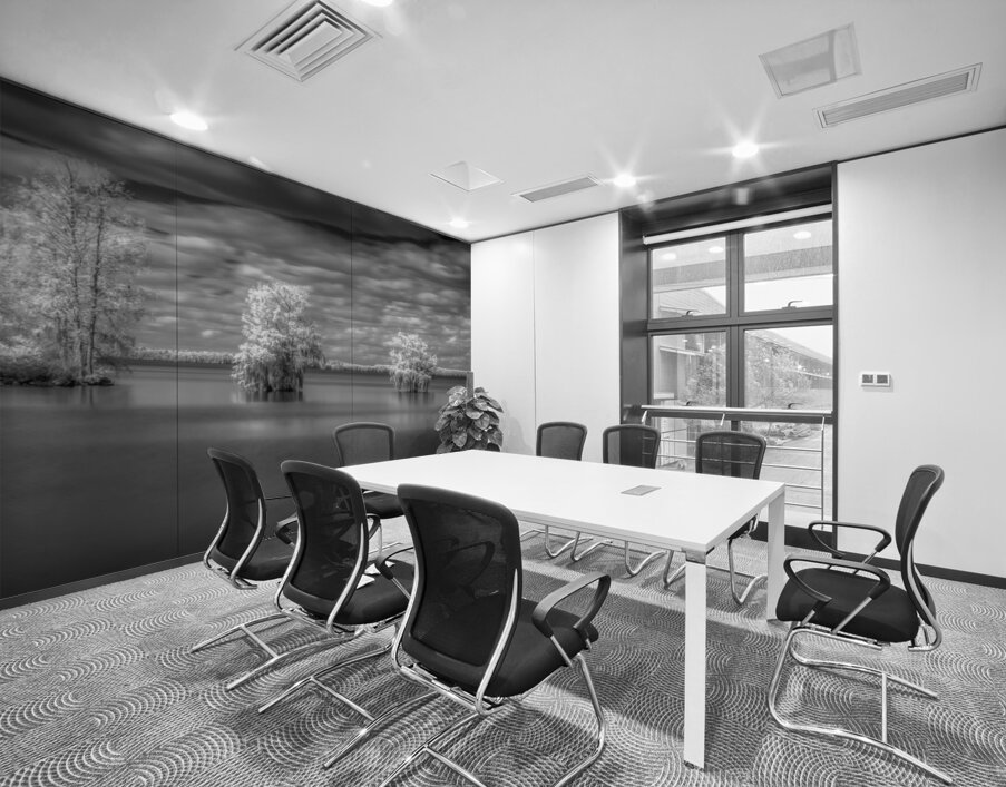 Tranquil Cypress Dreams: Santee State Park Wall Printing