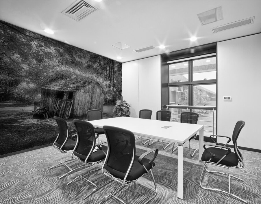 Garden Shack in B&W Wall Printing