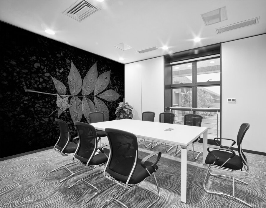 Rainy Day Wonder: Discovering Wishing Leaves at Tims Ford State  Wall Printing