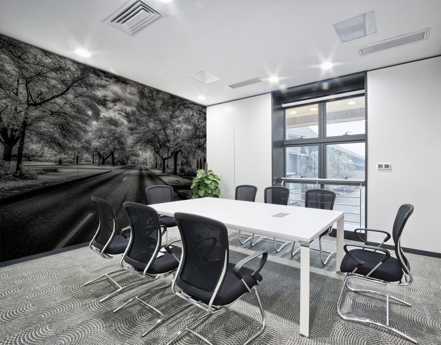 Eufaula Elegance: A Monochromatic Journey Through Time Wall Printing