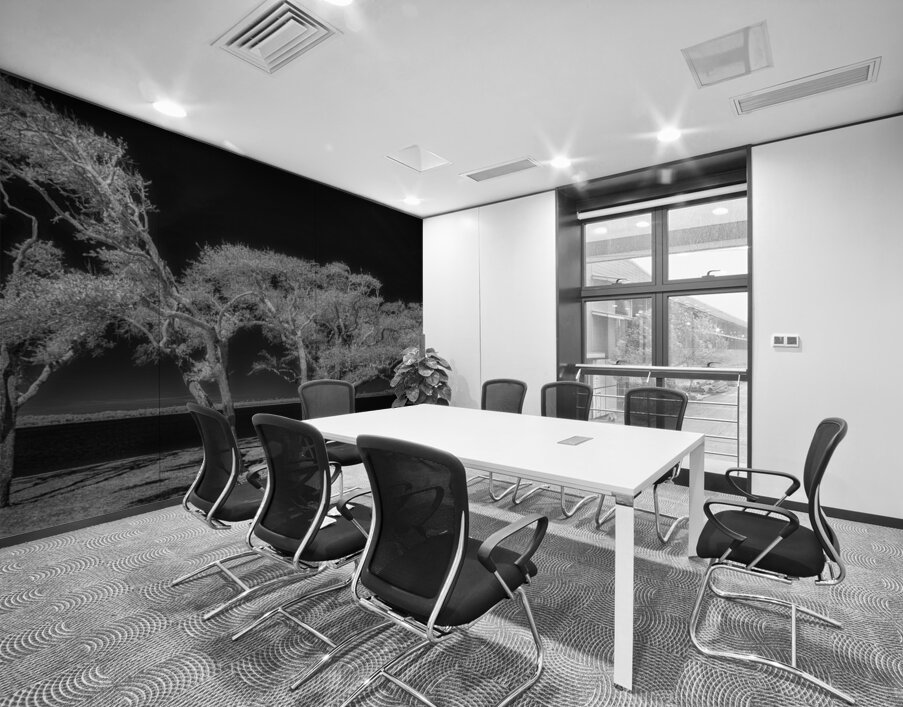 Enchanted Canopy: Exploring Gulf Shores Mystical Oaks Wall Printing