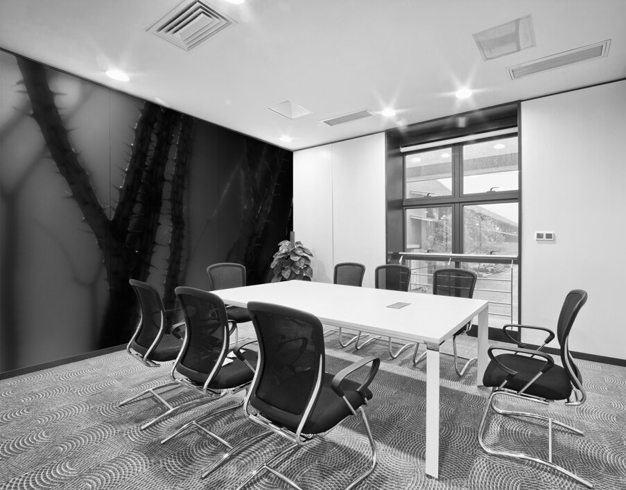 Shadows Weave Through Thorned Spire Wall Printing