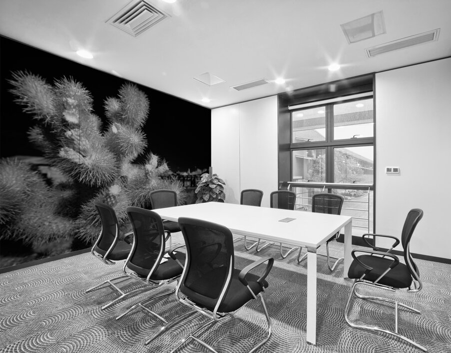 Intricate Dance of Cactus Spines Wall Printing