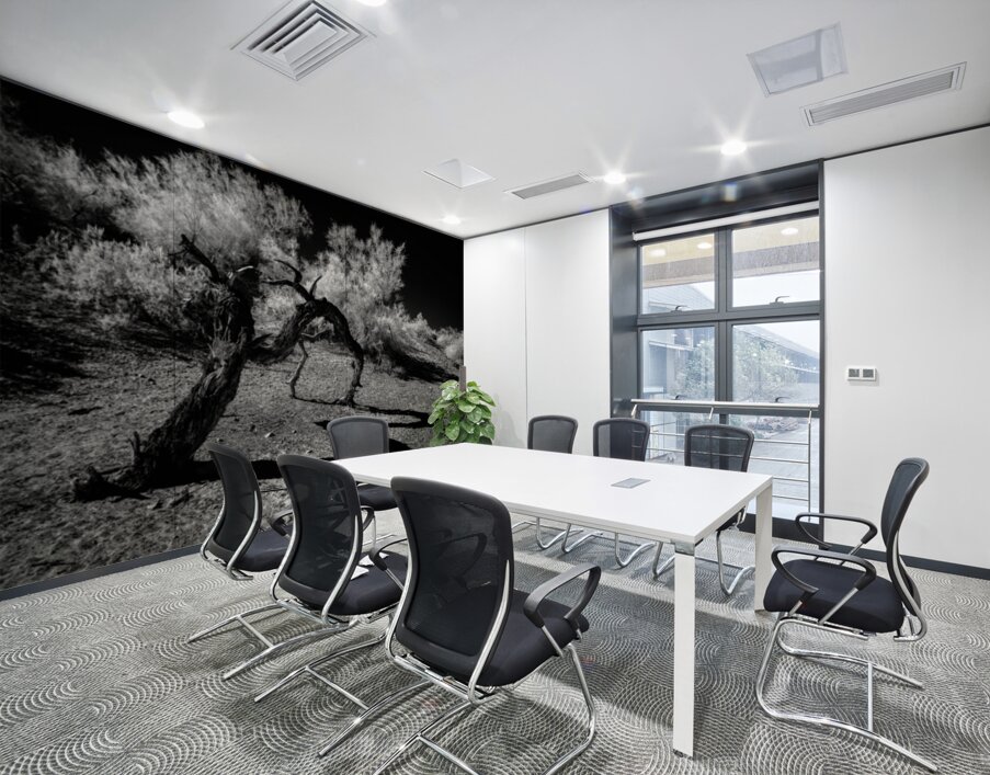 Desert Trees Shadowy Dance Wall Printing