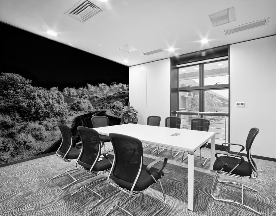 Symphony of Road and Foliage Wall Printing