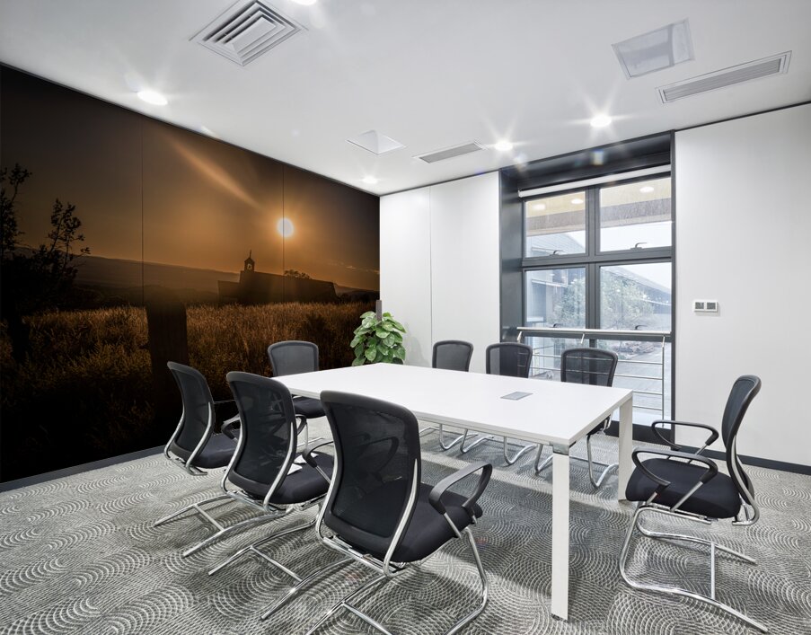 Silhouette in Sunlit Harmony Wall Printing