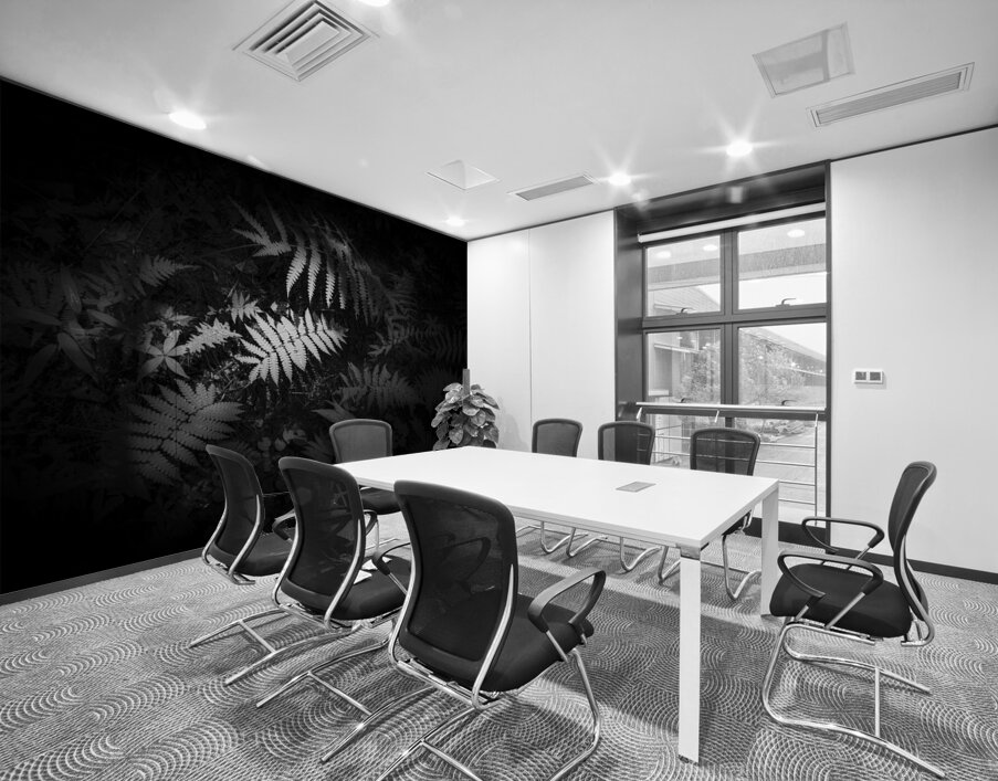 Ferns Whisper Wall Printing