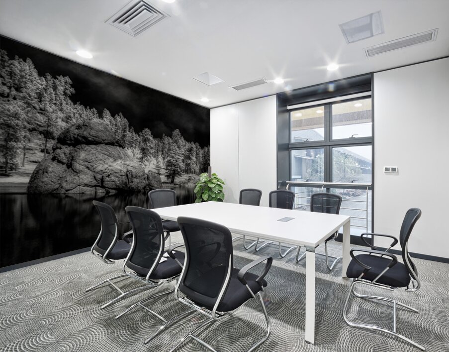 Enigmatic Elegance: Sylvan Lakes Monochrome Marvel Wall Printing