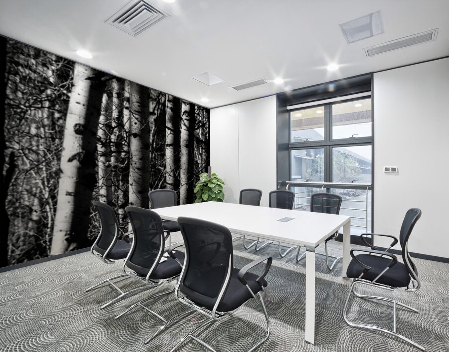 Aspens Sacred Lines Wall Printing