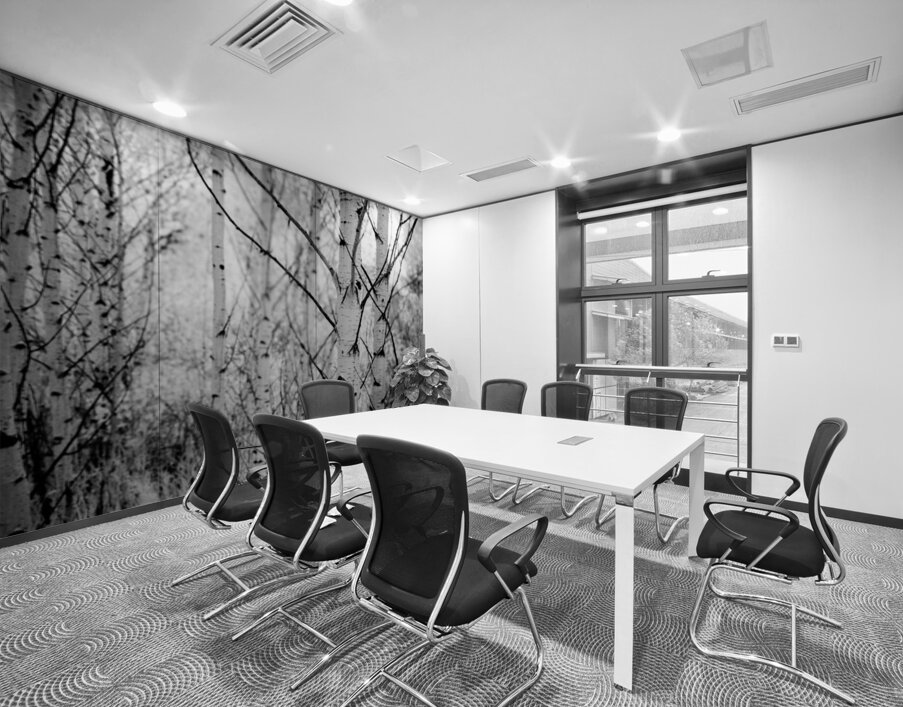 Contrasts in Woodland Quiet Wall Printing