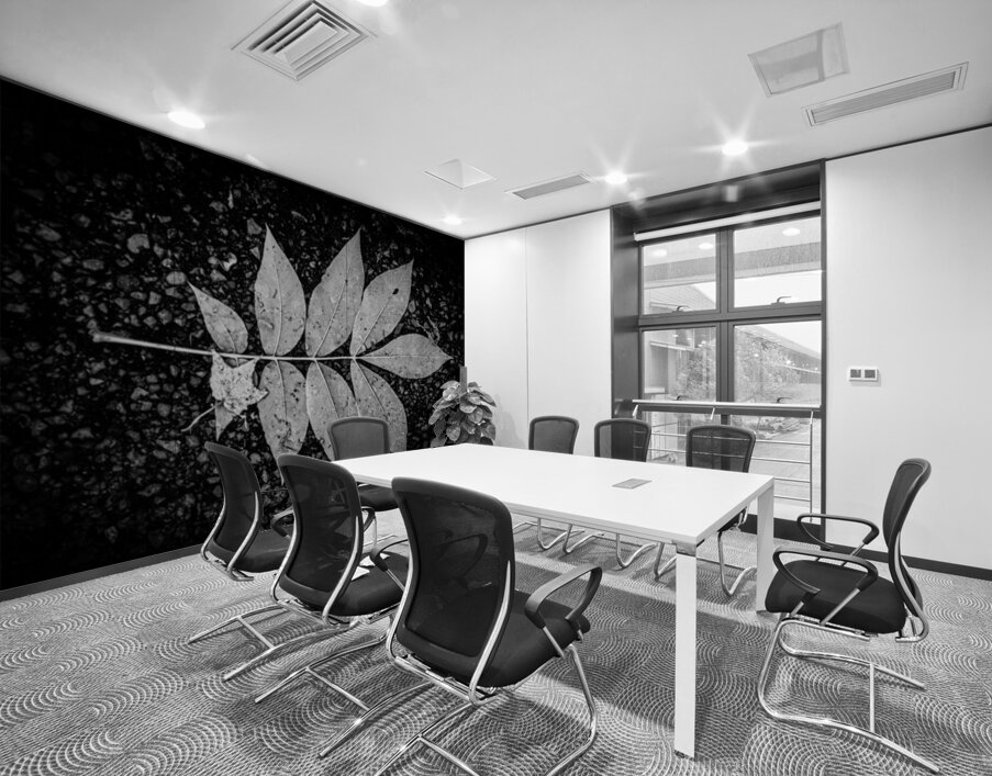 Autumns Solitude: Single Leaf Portrait Wall Printing