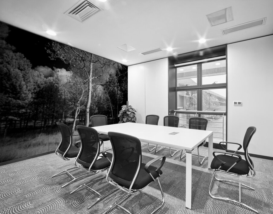 Aspen Reverie: Ansels Inspiration Wall Printing