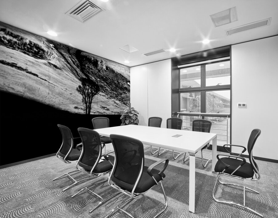 Solitary Sentinel Wall Printing