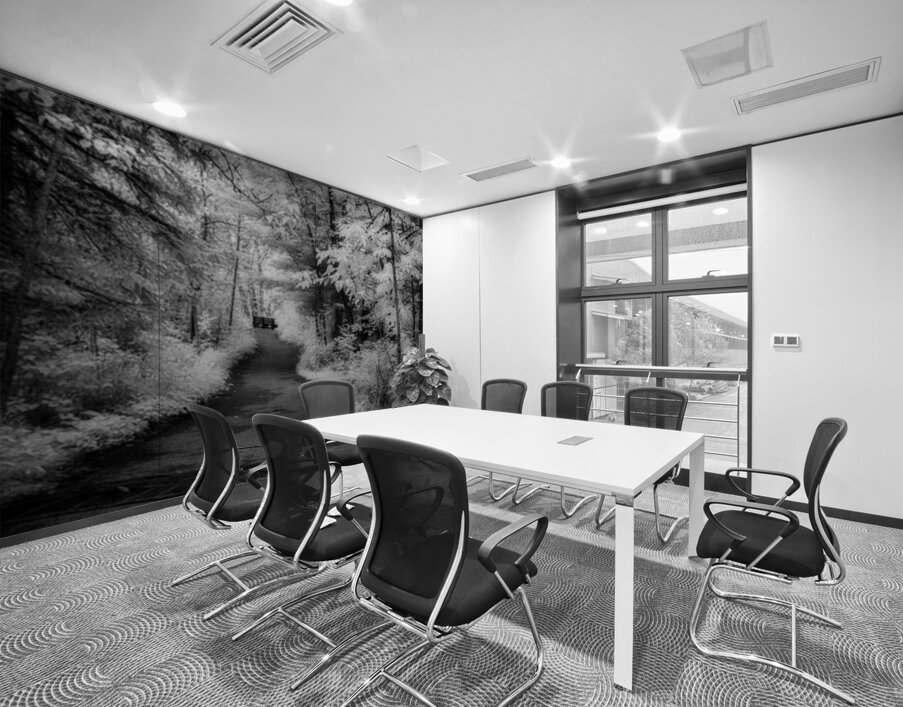 Path Through the Enchanted Forest Wall Printing