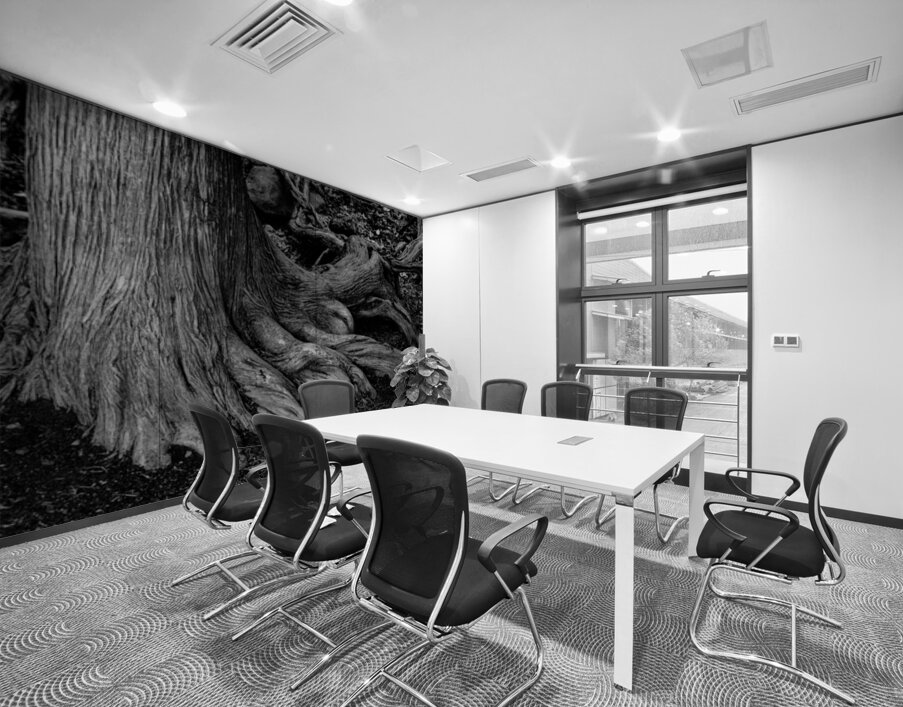 Roots of the Ancient Shore Wall Printing