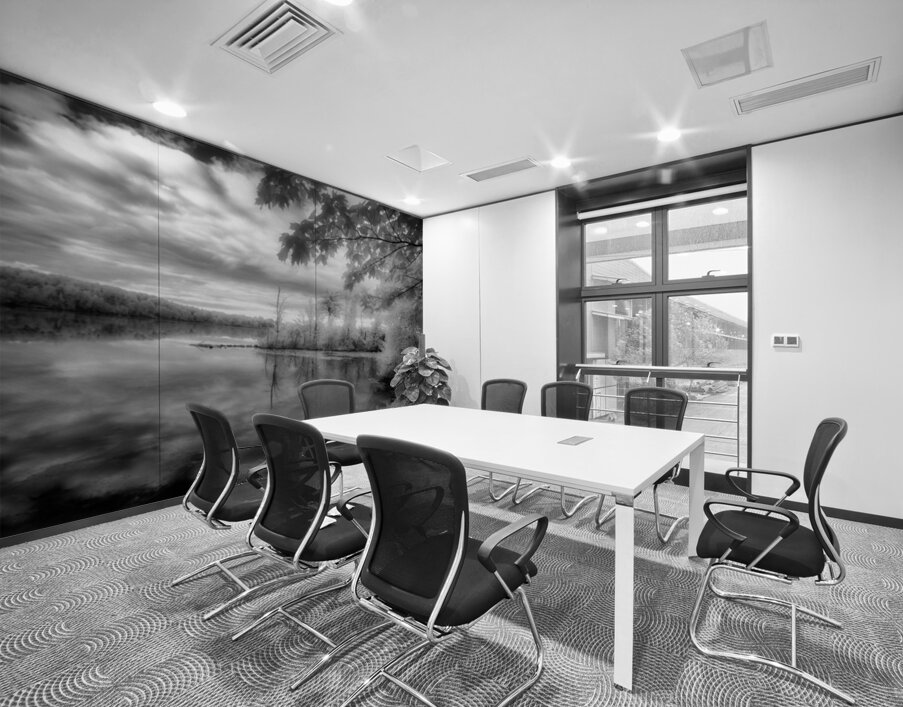 Mirror of Dreams Wall Printing