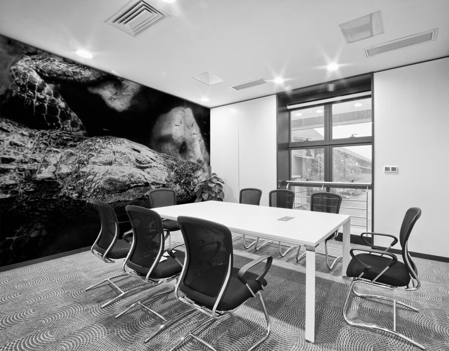 The Patient King Wall Printing