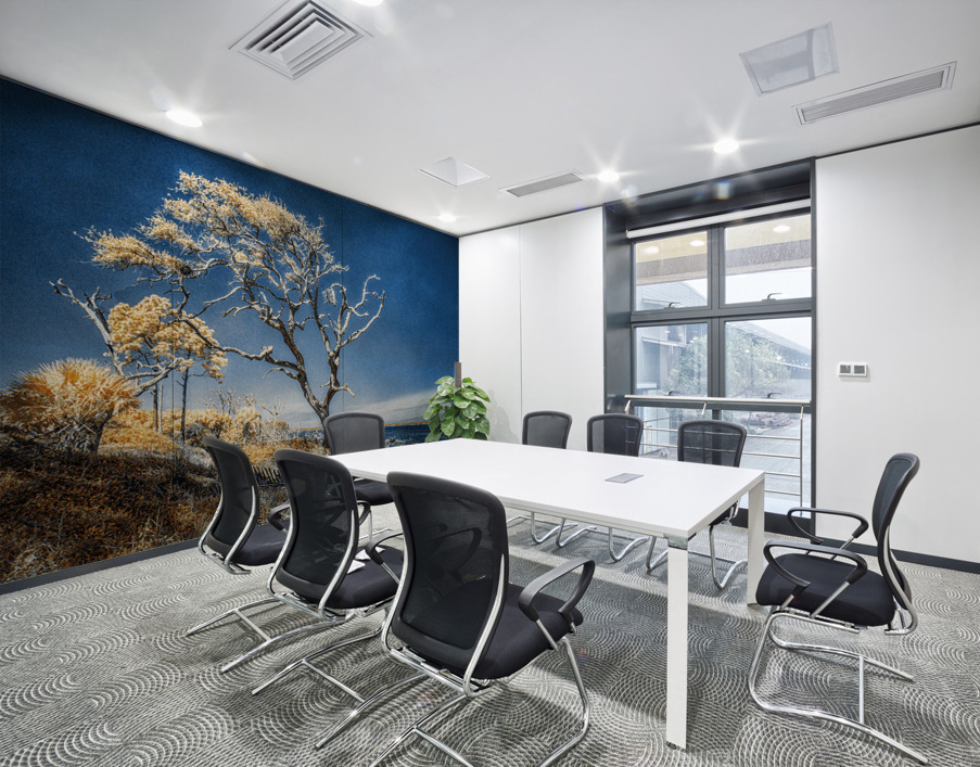 Blue Bonsai: A Botanical Marvel Unveiled on Driftwood Beach Wall Printing