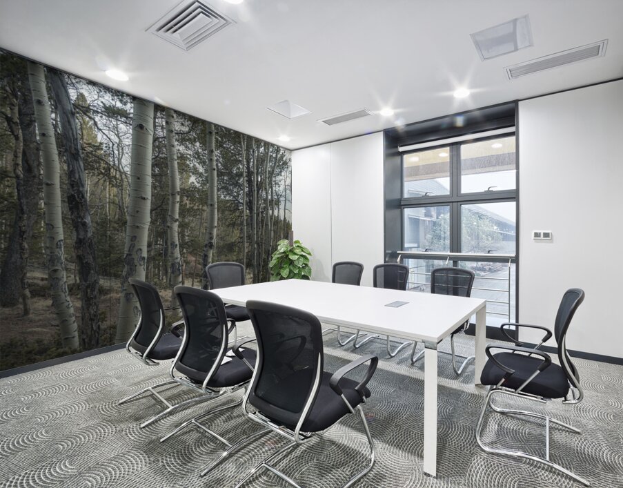 Mueller Aspen Series: Aspen Tree Trail Wall Printing