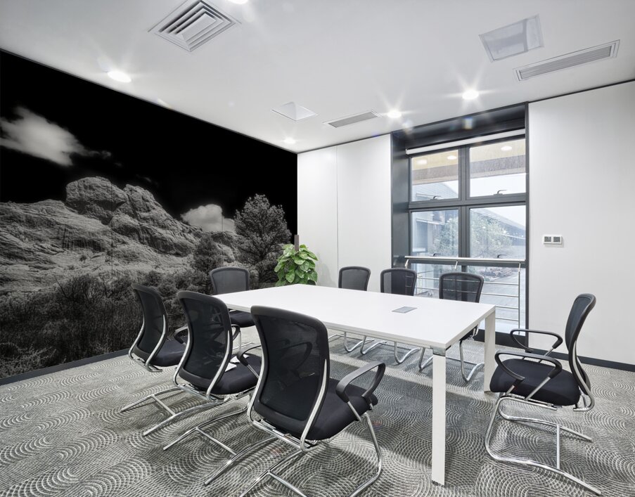 Timeless Terrain: The Scotsman Trail Wall Printing