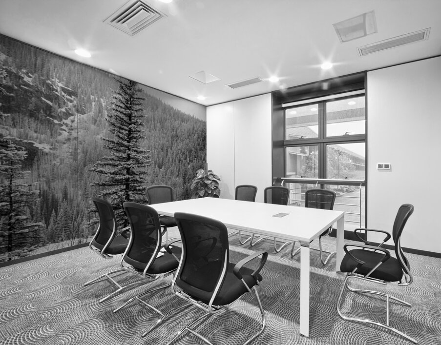 Lone Snowy Pine Wall Printing