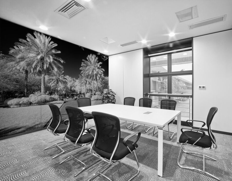 Monochrome Serenity: Palm Tree Harmony in Saint Marys Georgia Park Wall Printing