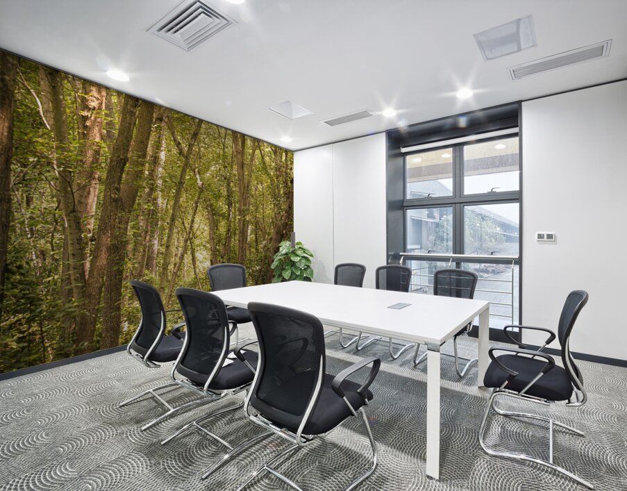 Pathway to Woodland Dreams Wall Printing