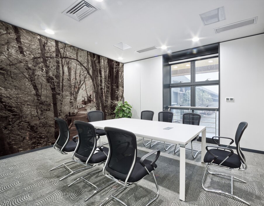 Abbotts Mill Trailblazing: A Swamp Journey in Delawares Natural Oasis Wall Printing