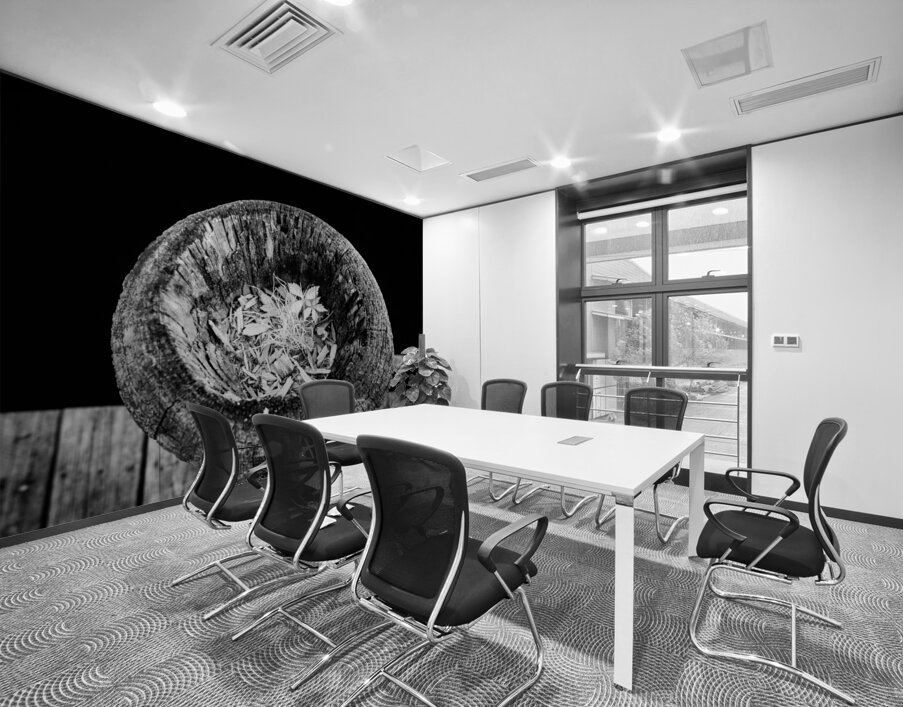 Echoes Within Wood Wall Printing