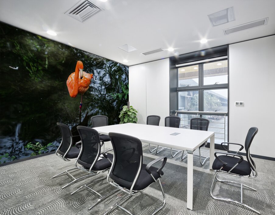 Feathered Wonders: Exploring Homosassa State Park Wall Printing