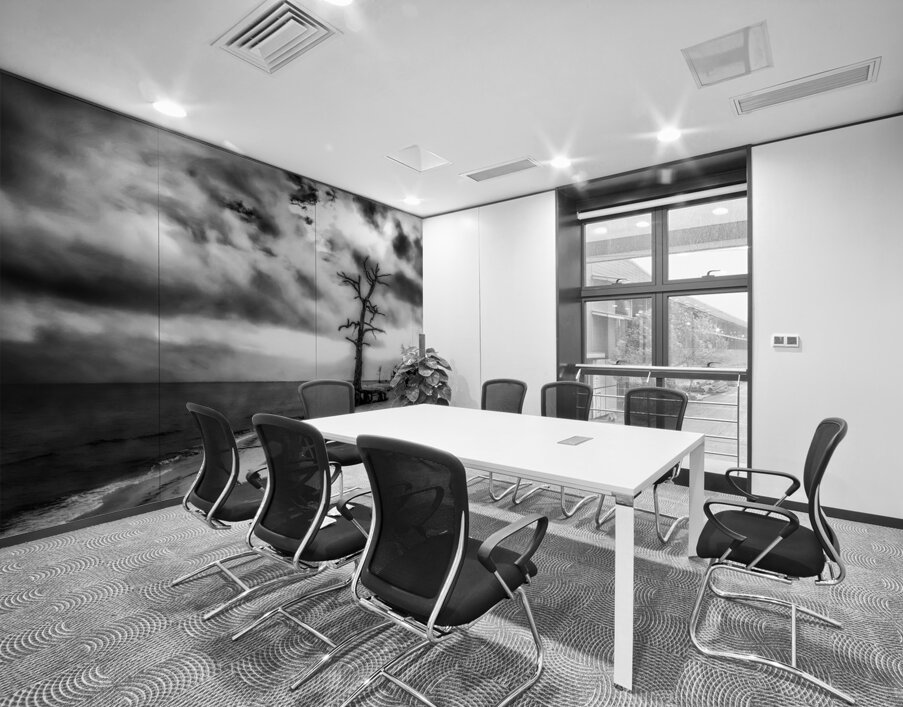 Ghosts of the Shoreline: Dead Tree Footprints Wall Printing